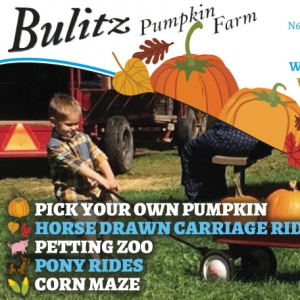 Bulitz Pumpkin Farm 1-2 0916.indd